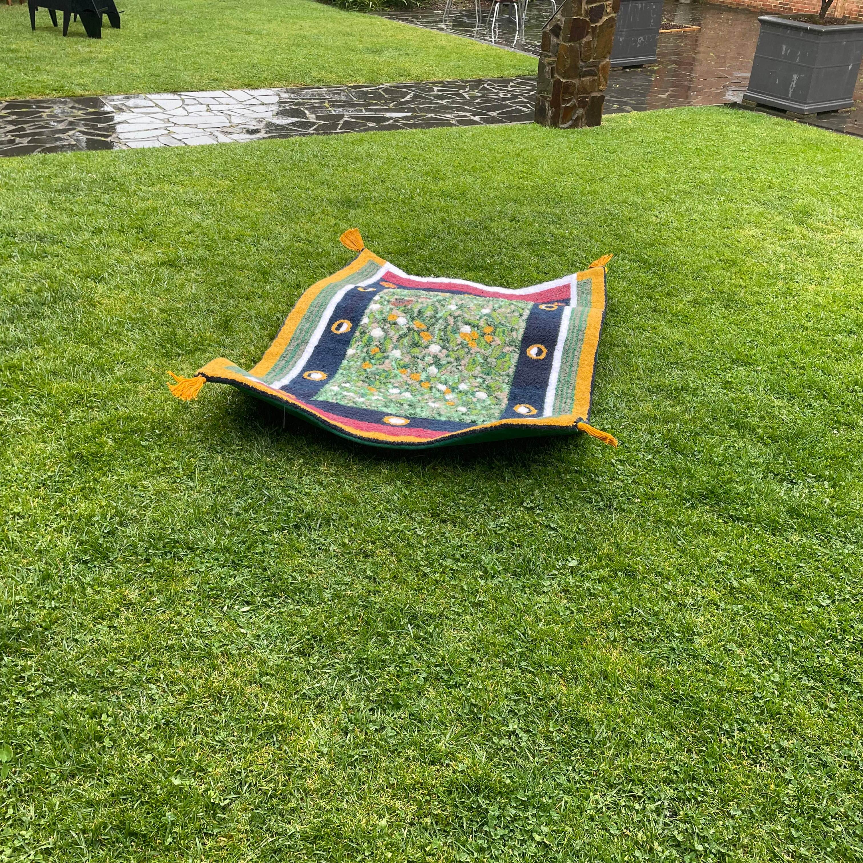 Magic Carpet (front on)