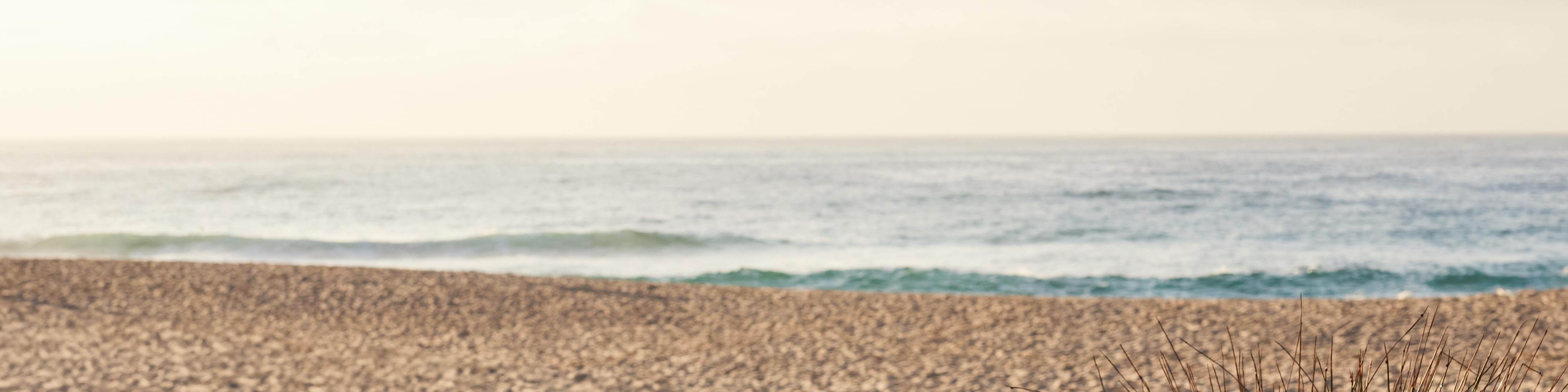 (frontview)_FlyingCarpet(MagicLoom)_SxSBondi2025_HFanti (Edit)