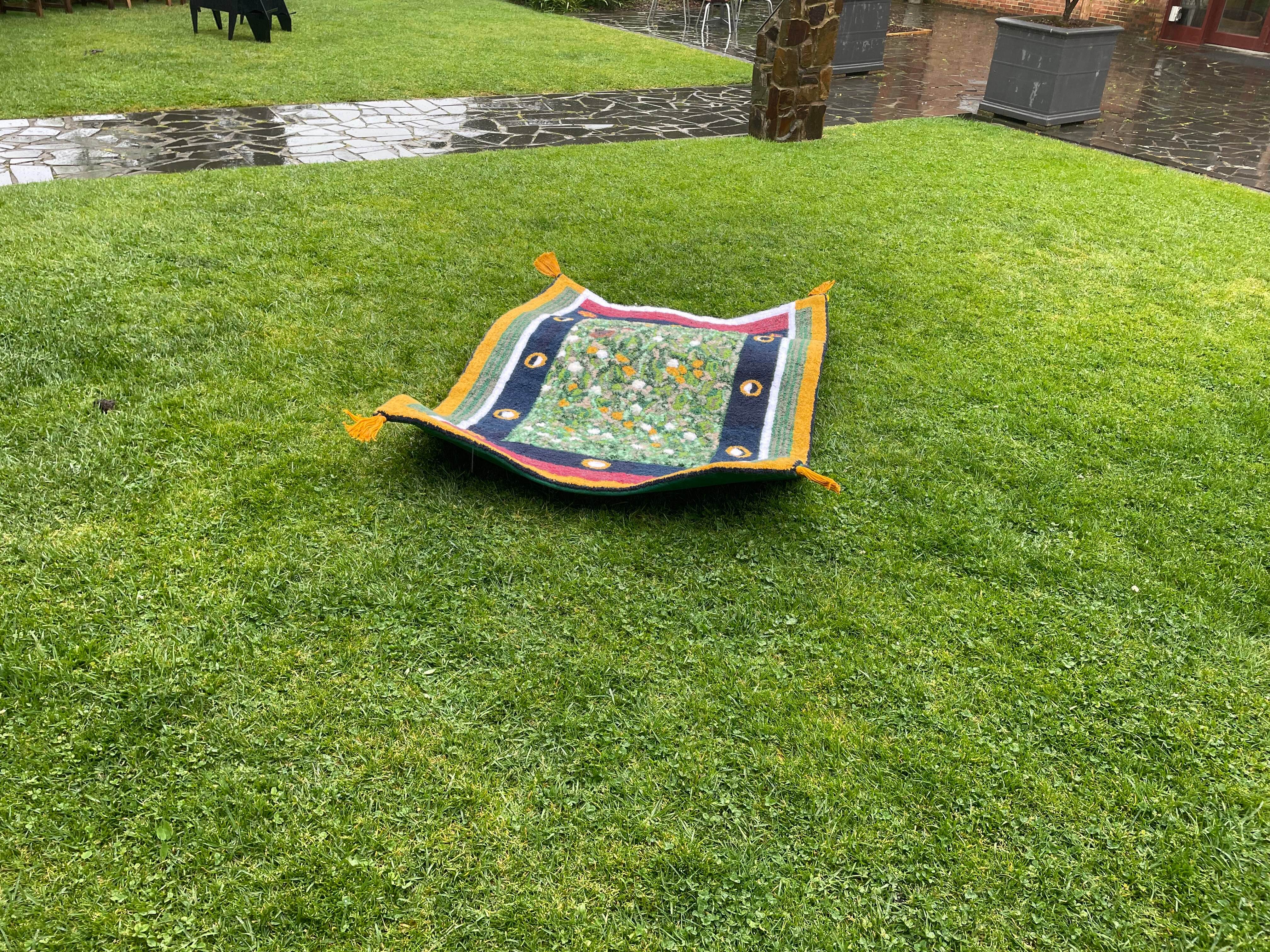 Magic Carpet (front on)